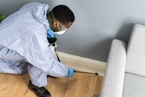 Best Termite Inspection and Treatment  in Hampton, GA